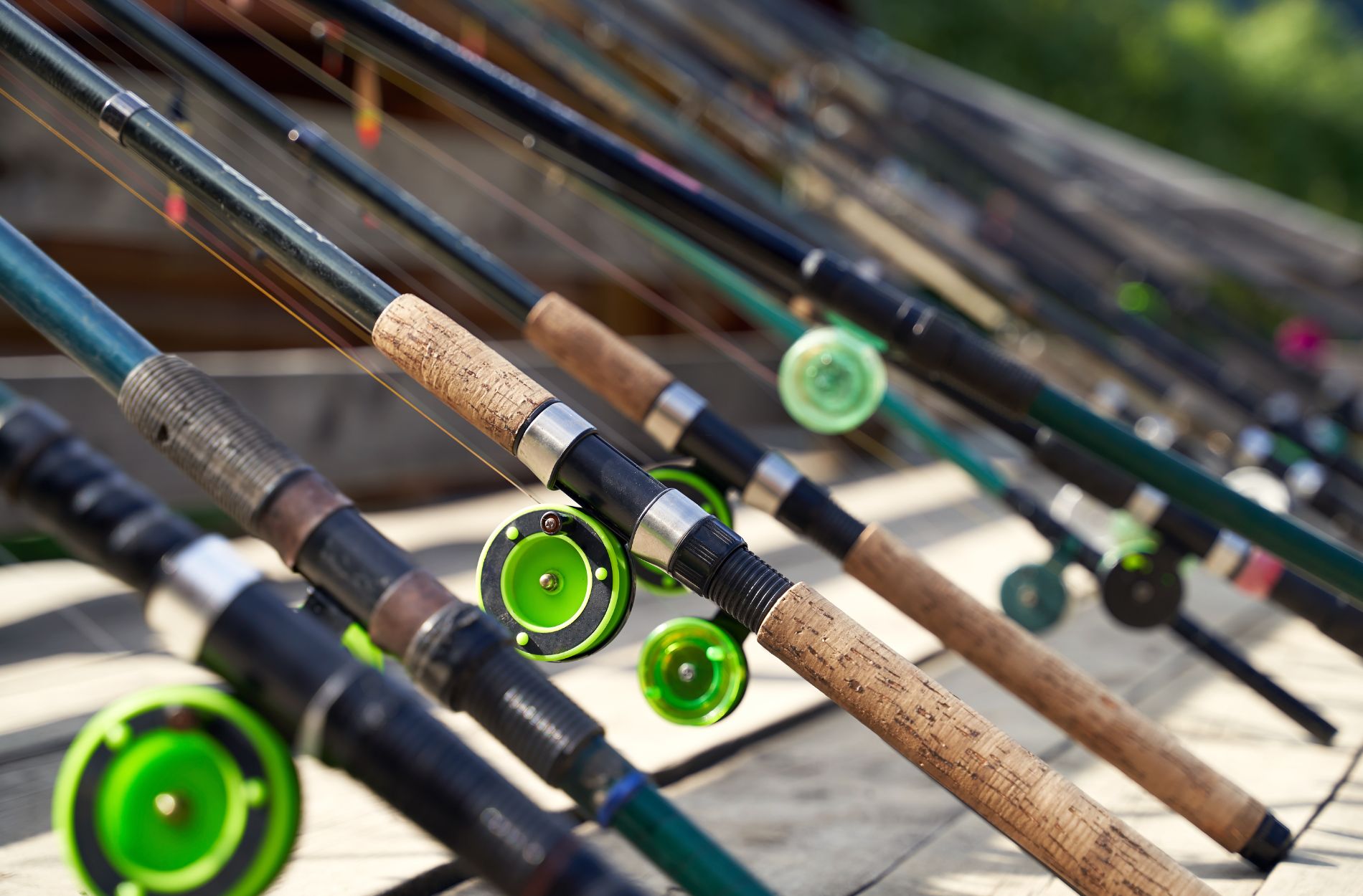 Exploring the Art of Custom Fishing Rods