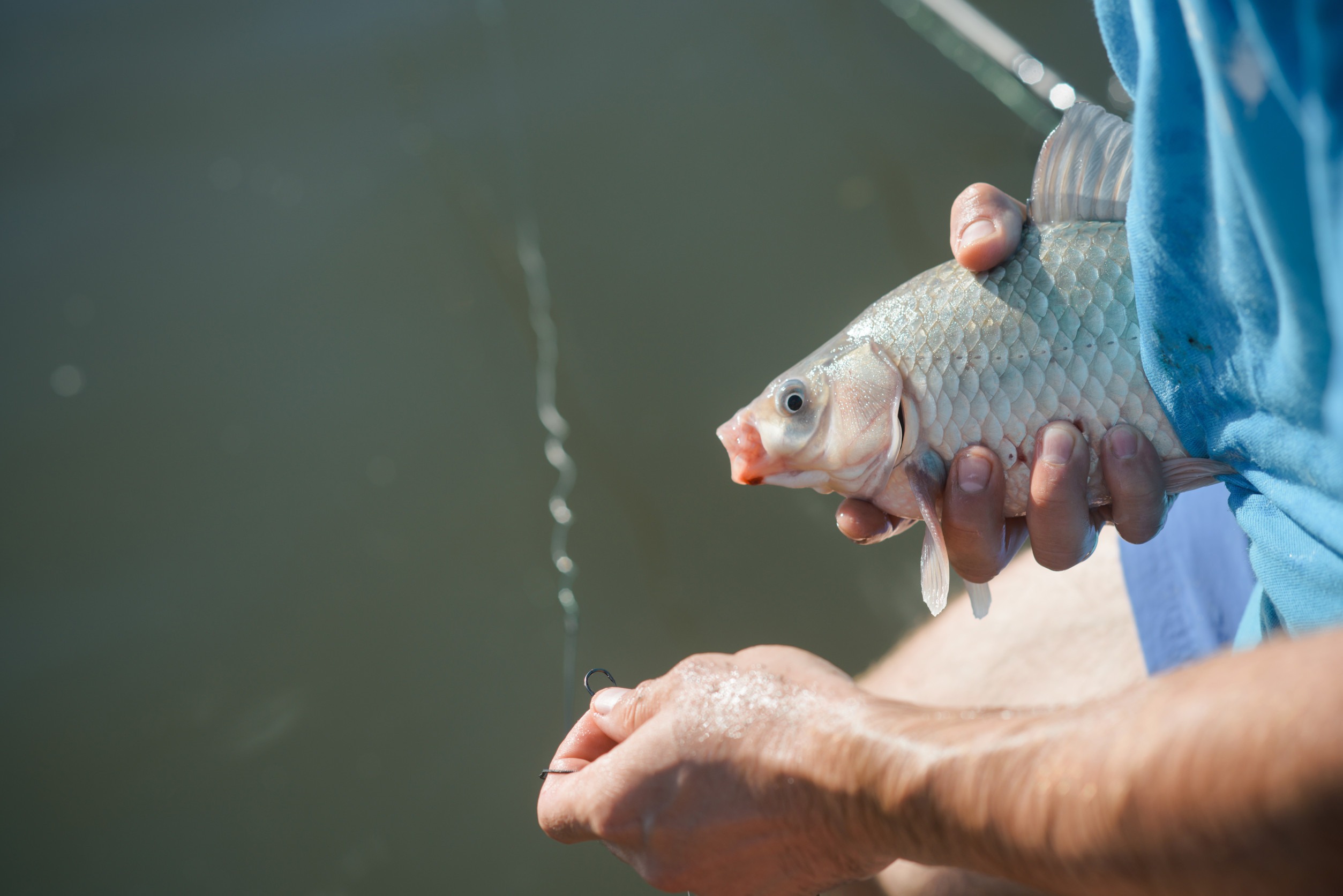 Caught fish