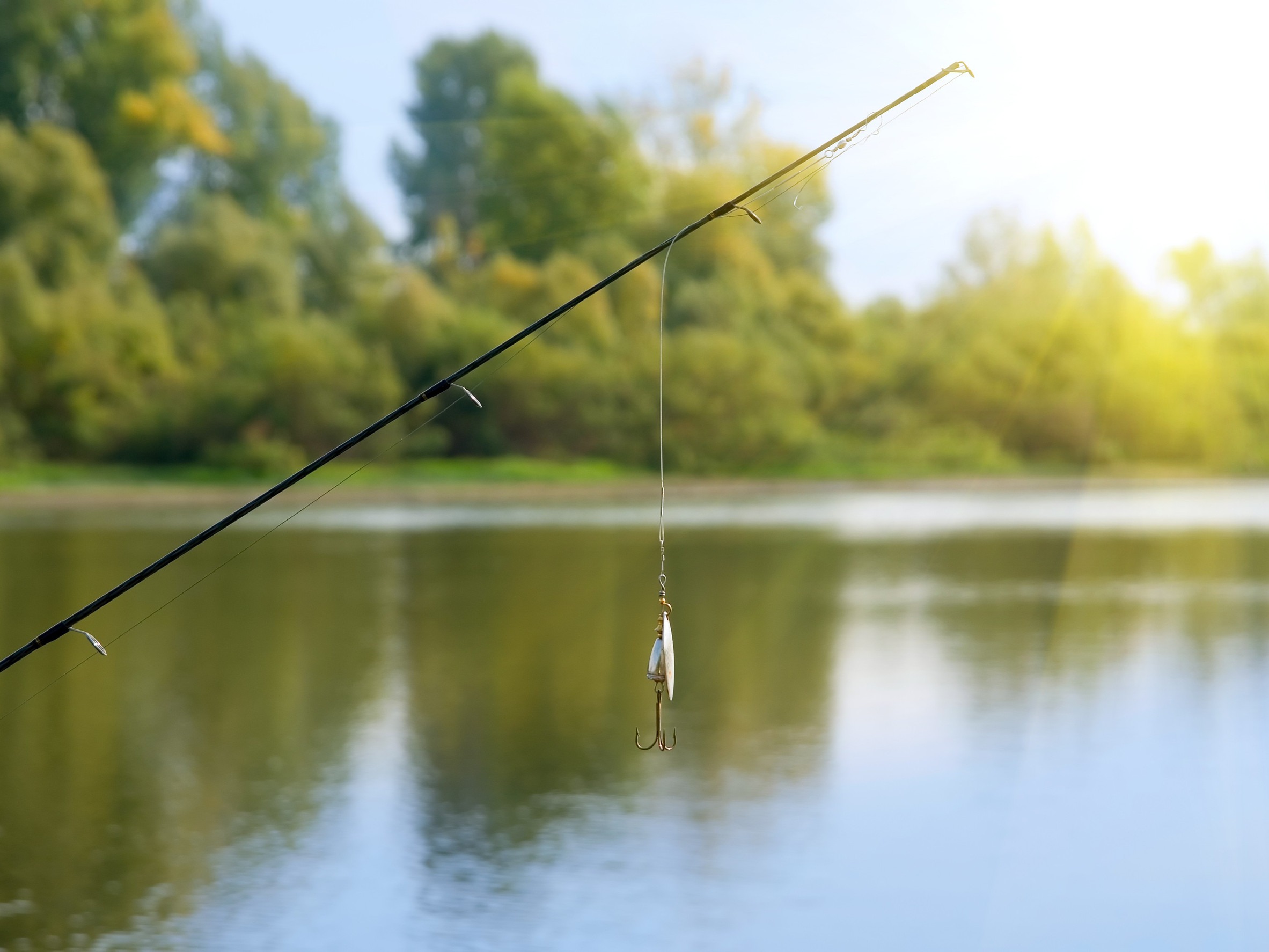 fishing rod